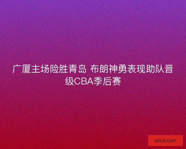 广厦主场险胜青岛 布朗神勇表现助队晋级CBA季后赛